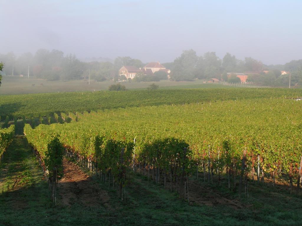 Du Vert & Du Bon Air - Linge Maison Inclus - Parking Prive Gratuit - Centre Ville Bergerac 10Mn - Domaine Bellevue Cottage En Perigord Lembras Exterior foto